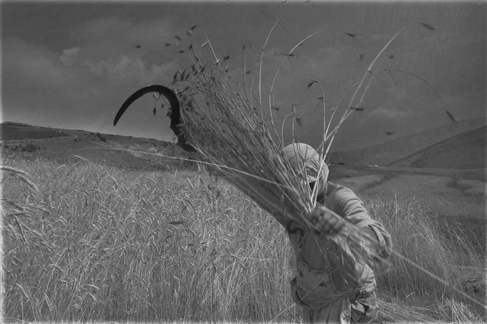 A photograph by Yordan Yordanov – Yuri
