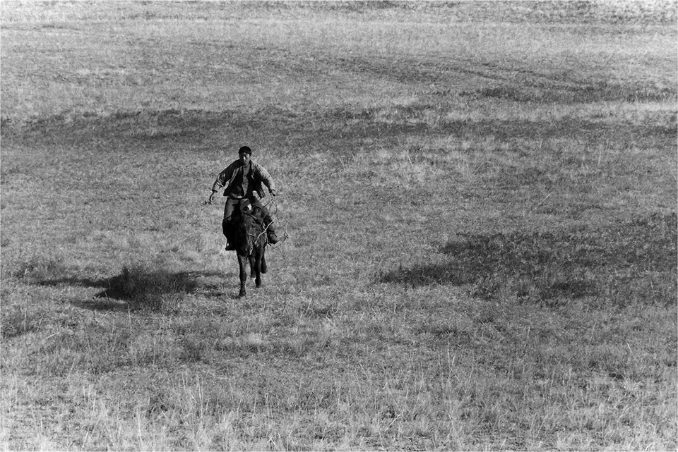 A photograph by Yordan Yordanov – Yuri