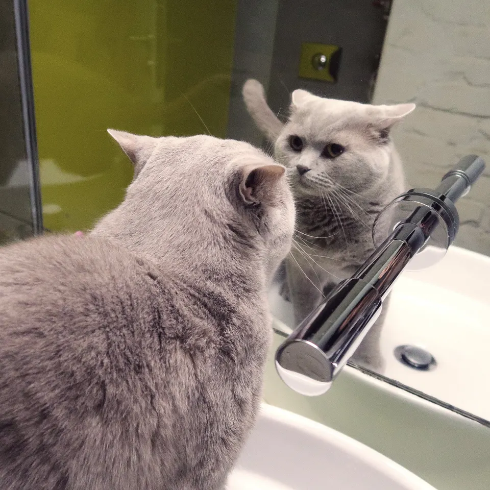 котаракът Румен