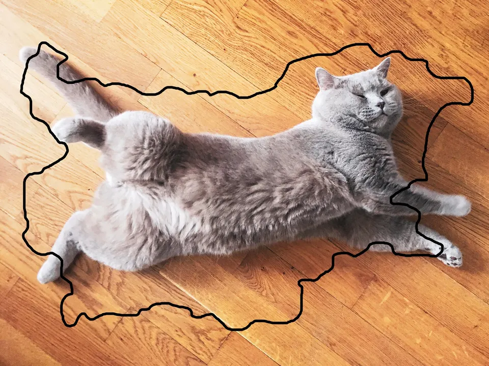 котаракът Румен