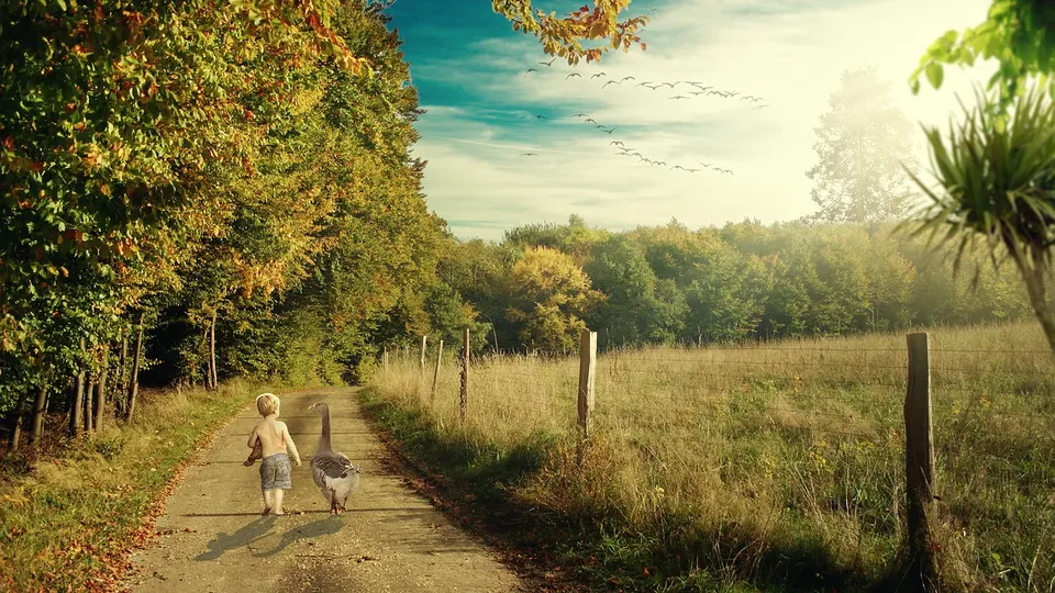 photo-manipulation