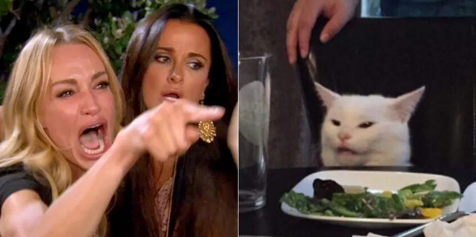 Meme with an angry woman and a cat