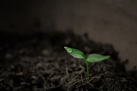 Singularity