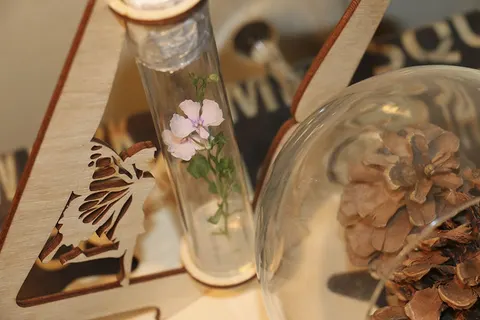 Flower in a test tube