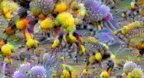 Deep dreaming