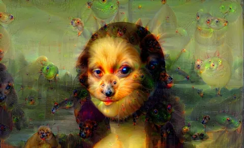 Deep dreaming