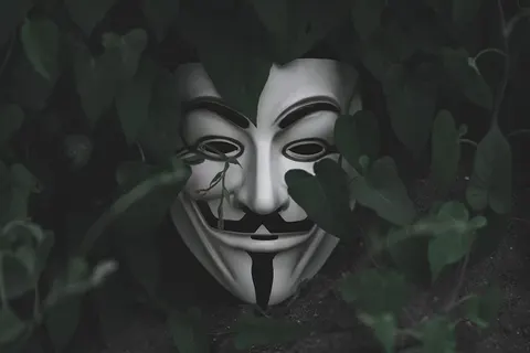 gai-fouks-anonimnite