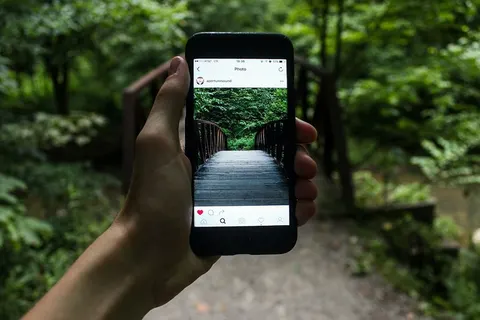 The next social networks