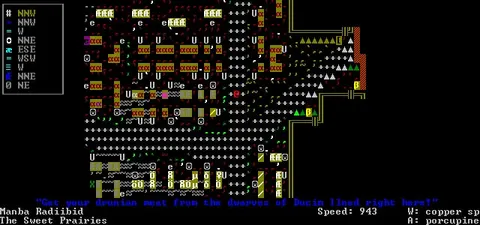Dwarf Fortress