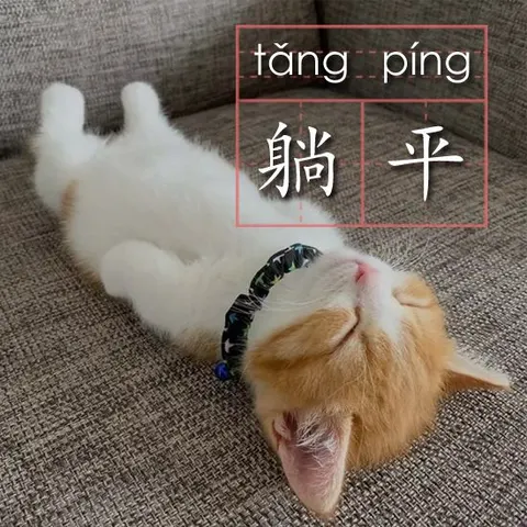 Tang ping